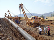 Capacidad de cargamento clasificada de la grúa del tubo de la maquinaria de construcción de carreteras del ahorro de energía 25 toneladas